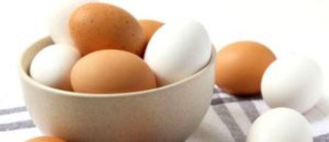 Yumurta Sevenlere Kötü Haber...