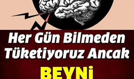 Bunlar Beyni Küçültüyor