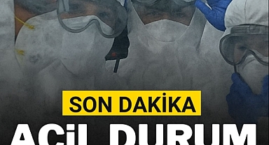 Kabus geri döndü